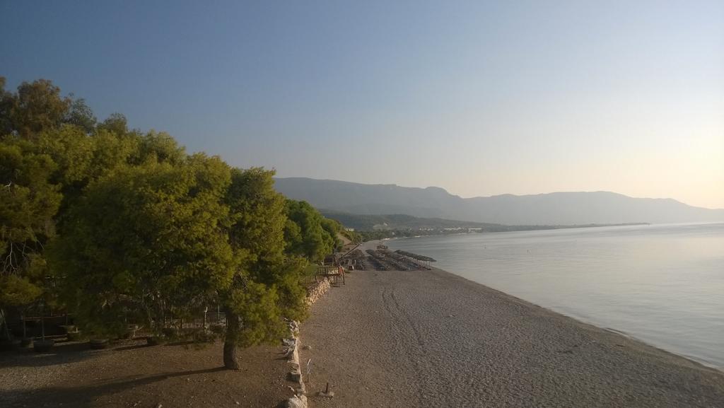 Siagas Beach Hotel Айоі-Теодор'ї Екстер'єр фото